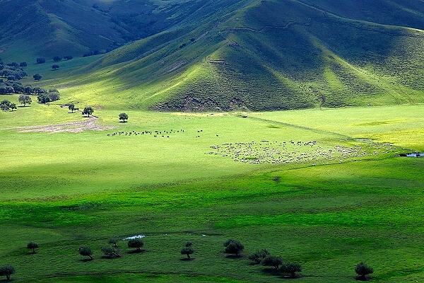 OnTour Mongolei 